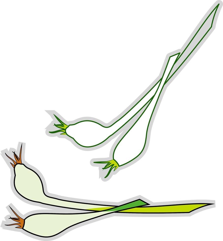 Fresh chives, illustration, vector on white background.