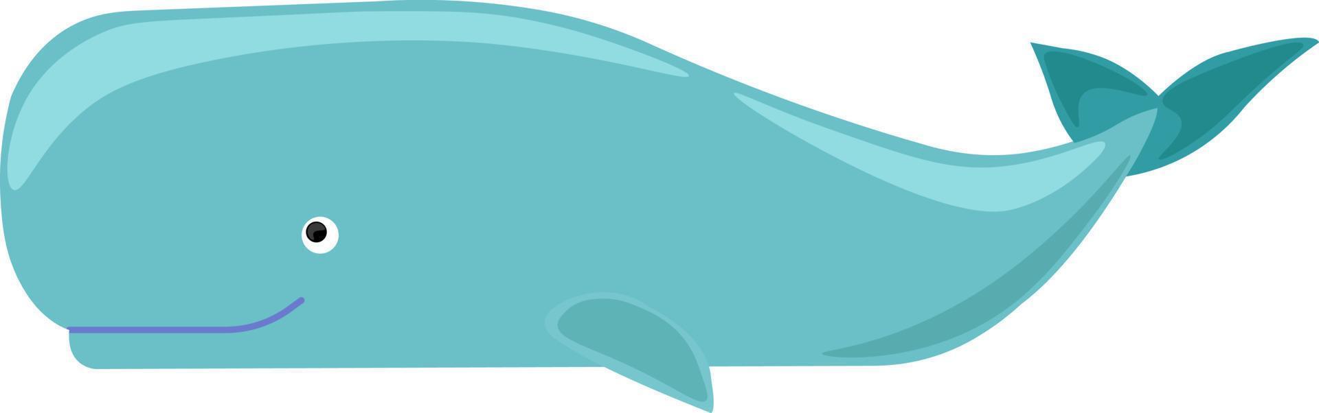 Big blue whale, illustration, vector on white background.