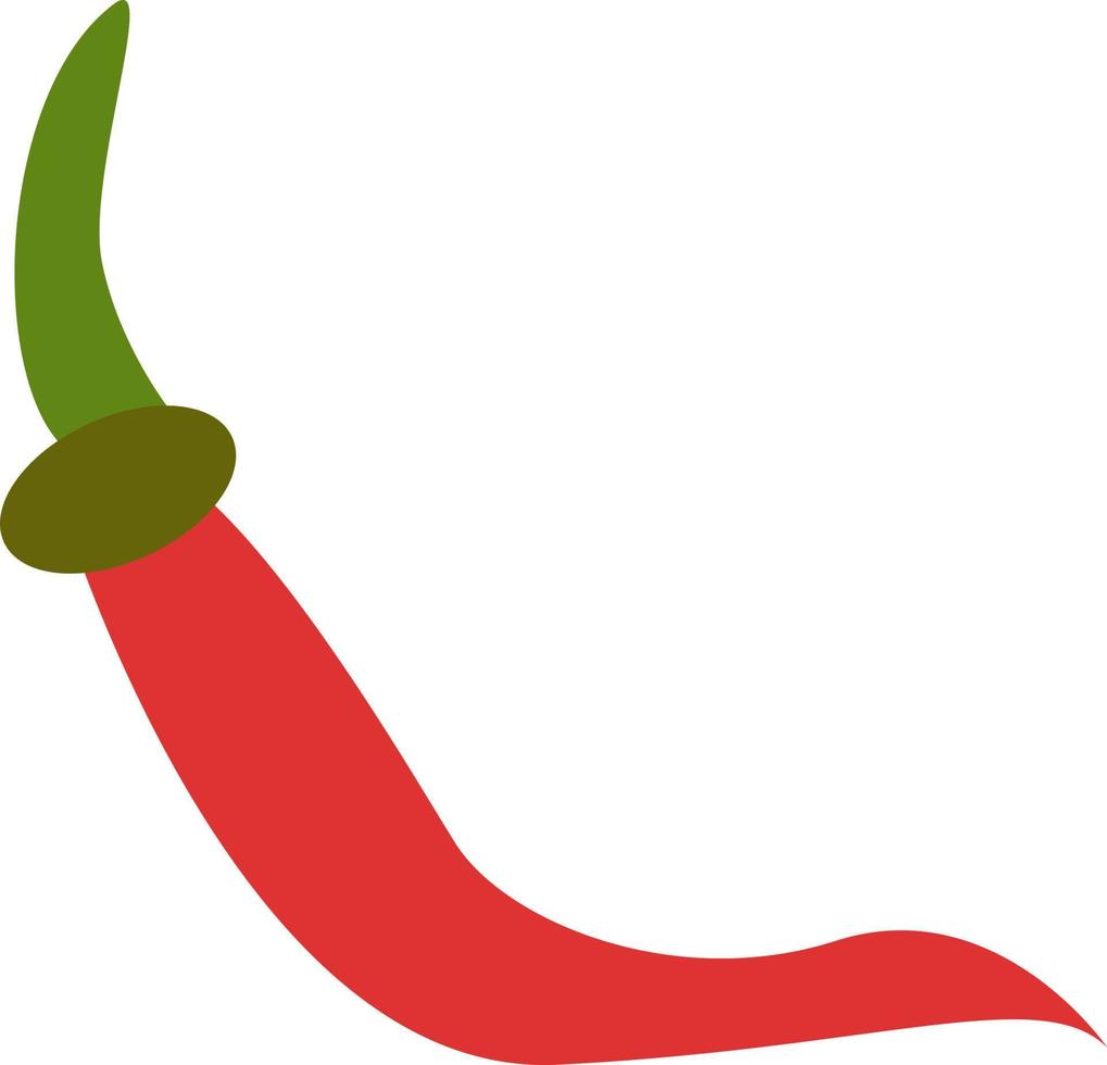 Red chilli, illustration, vector, on a white background. vector