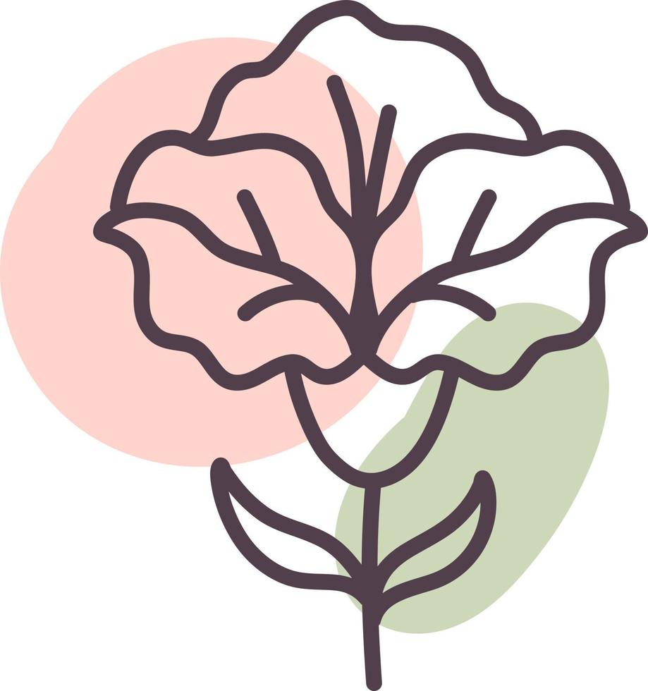 flor de jardín, ilustración, vector, sobre un fondo blanco. vector