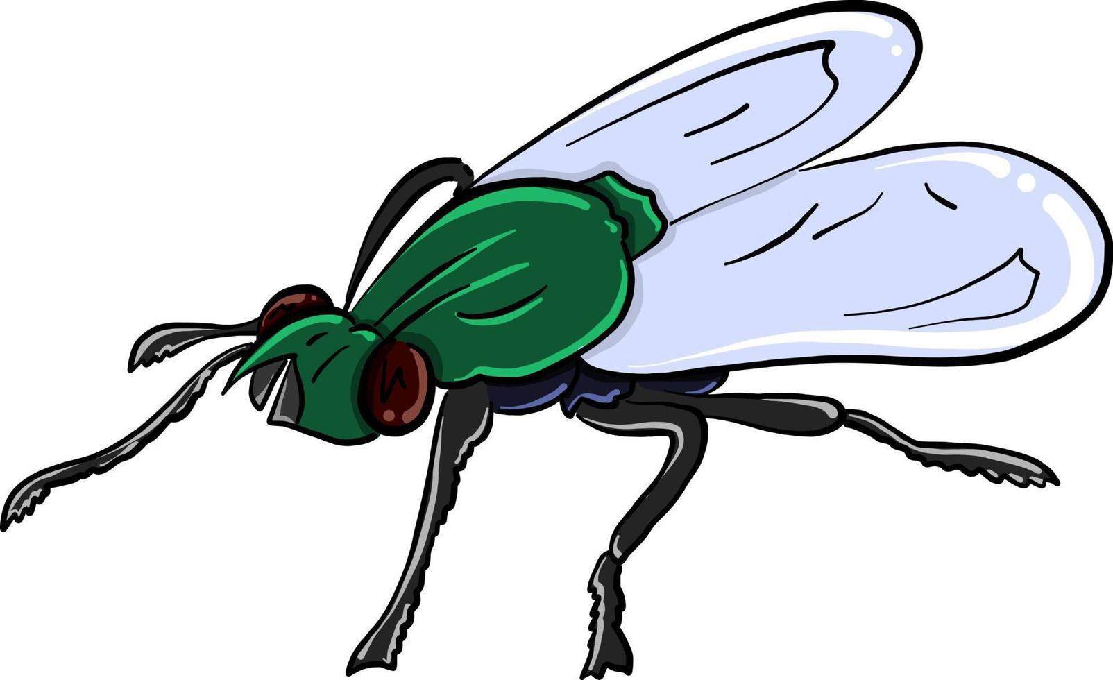 mosca verde, ilustración, vector sobre fondo blanco