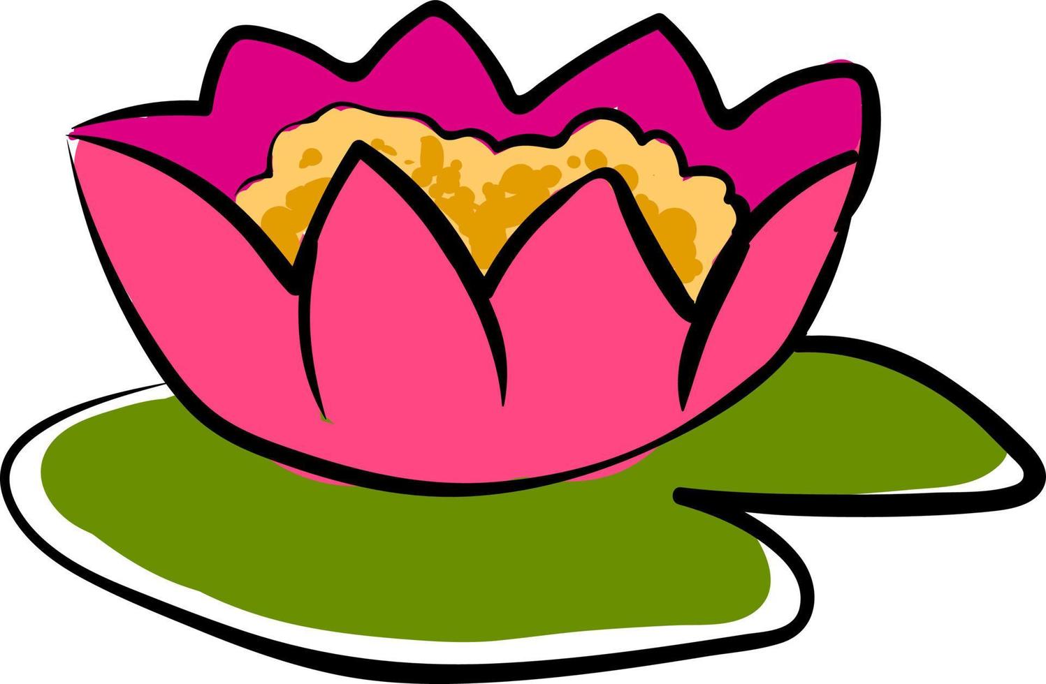 Water lily, illustration, vector on white background.