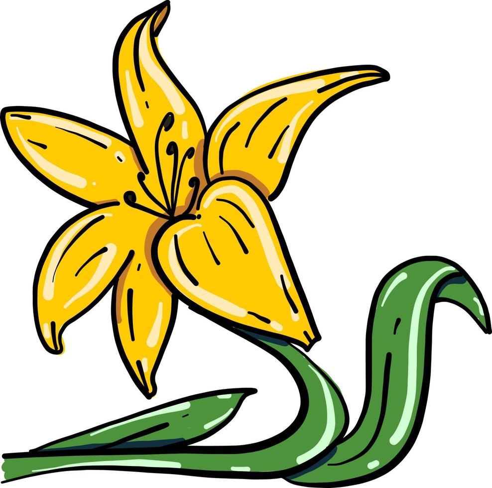 Gorgeous yellow flower, illustration, vector on white background