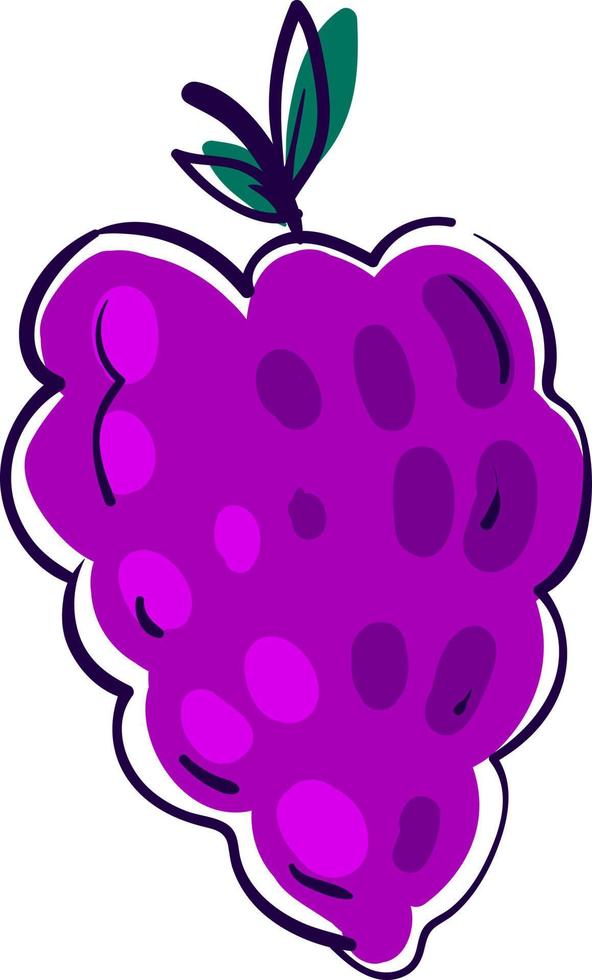 Purple mullberry, illustration, vector on white background.