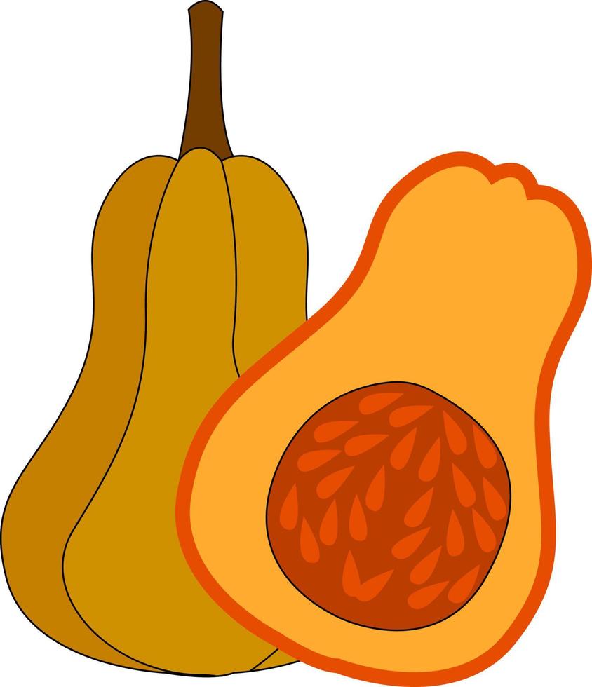 Pumpkin cut in half, illustration, vector on white background.