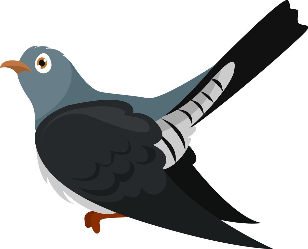 Black cuckoo, illustration, vector on white background