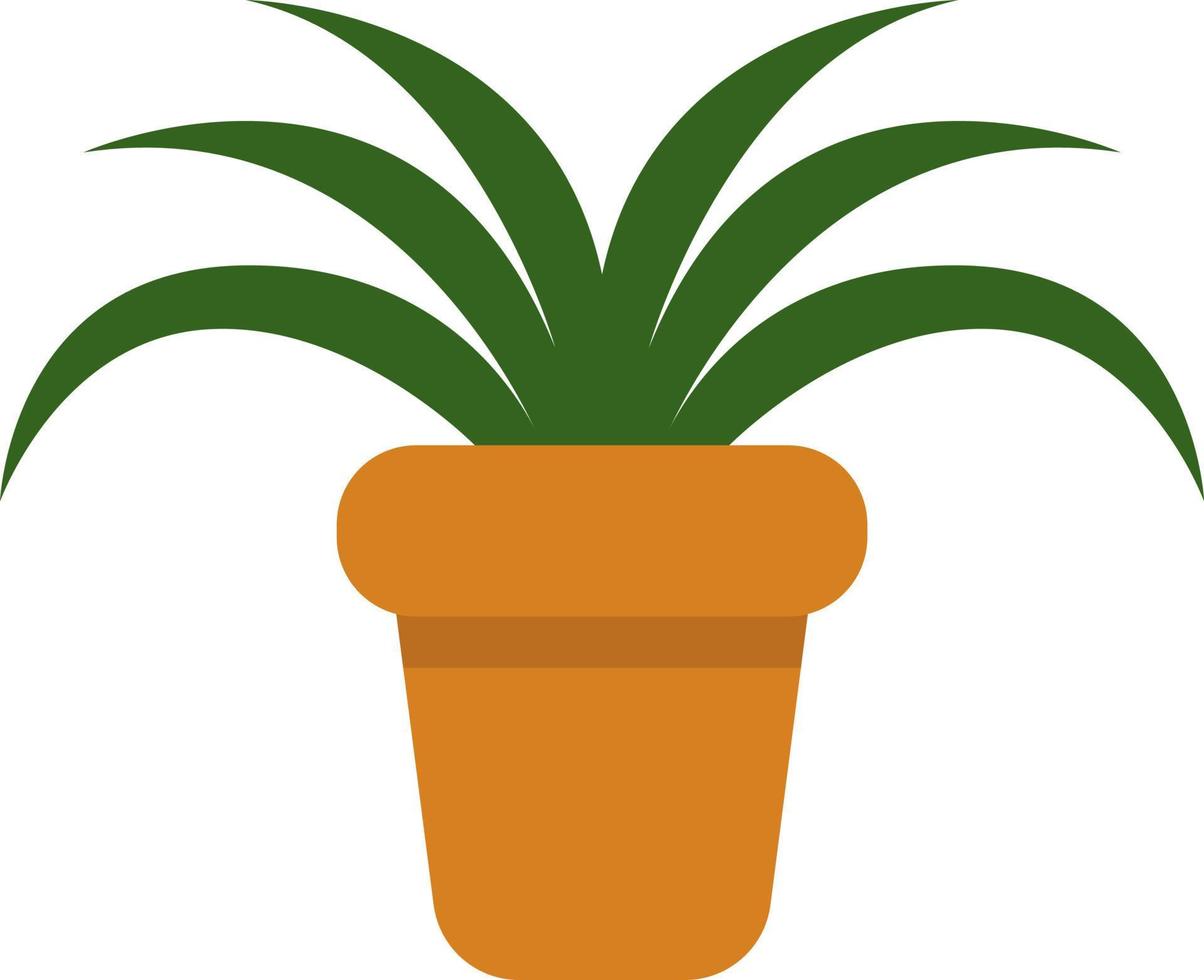 planta de araña en una olla, icono de ilustración, vector sobre fondo blanco