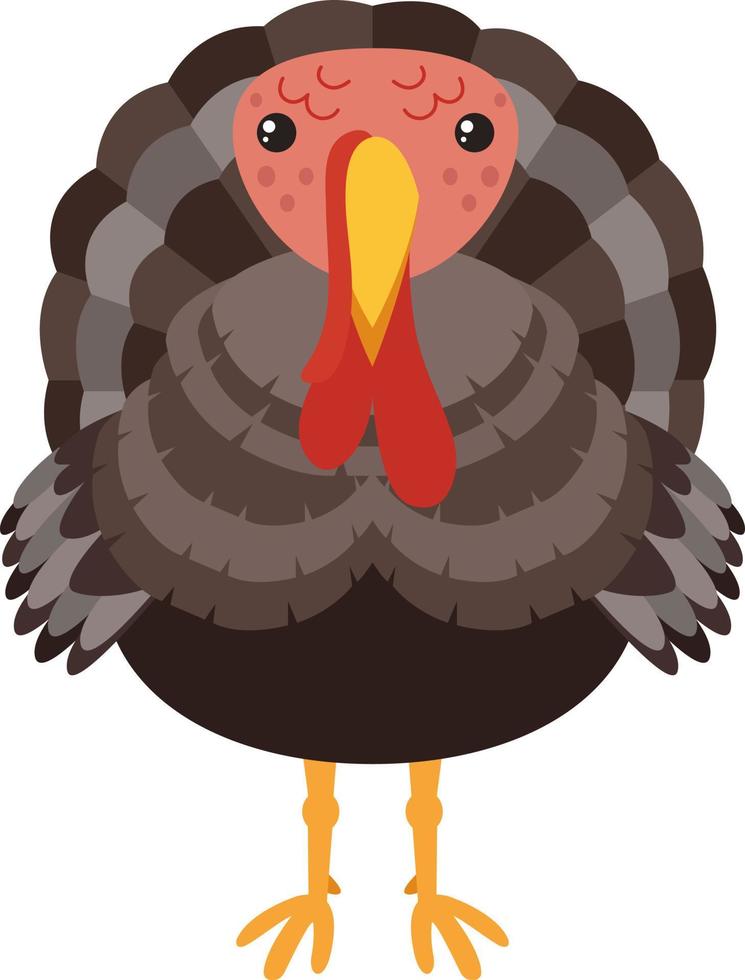 Turkey, illustration, vector on white background.