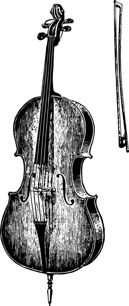 Violoncello, vintage illustration. vector