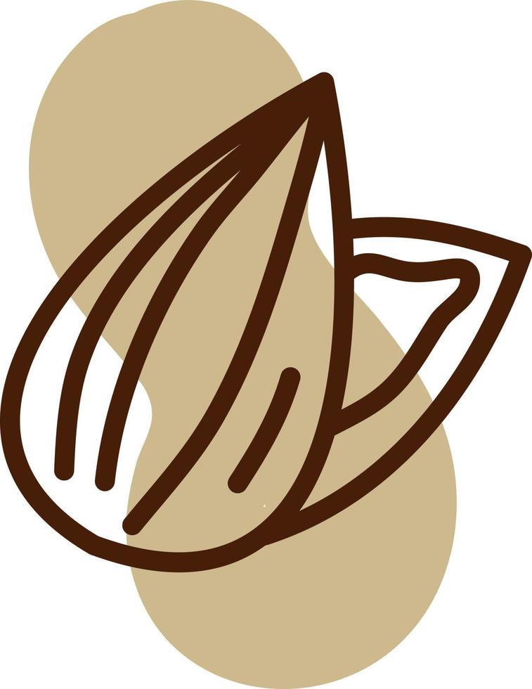 Almond nut, illustration, vector, on a white background. vector