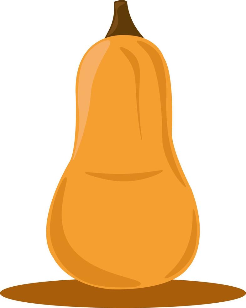 Pumpkin, illustration, vector on white background.