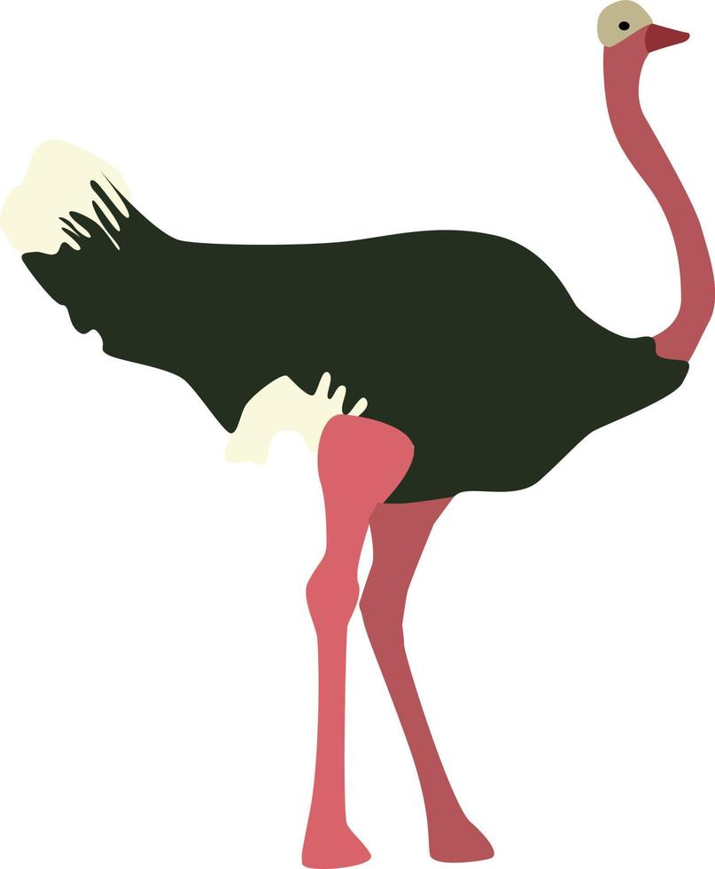 Green ostrich, illustration, vector on white background.