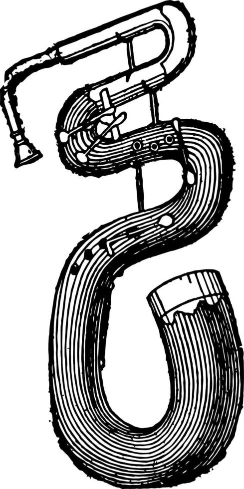 Serpent, vintage illustration. vector