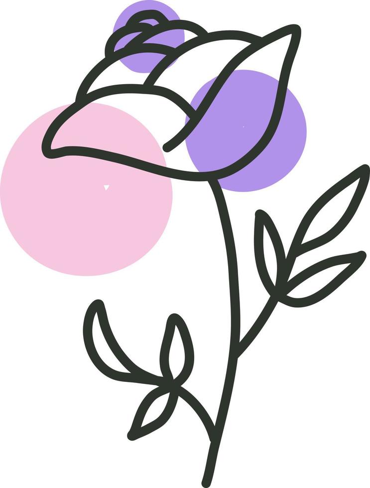 Apertura de flor rosa, ilustración, vector sobre fondo blanco.