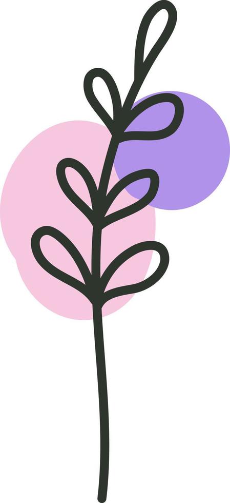 Garden flower, illustration, vector on a white background.