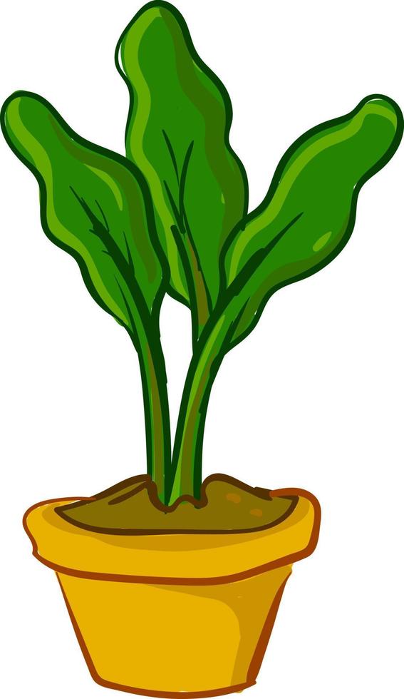 Beautiful plant in yellow pot, illustration, vector on white background.