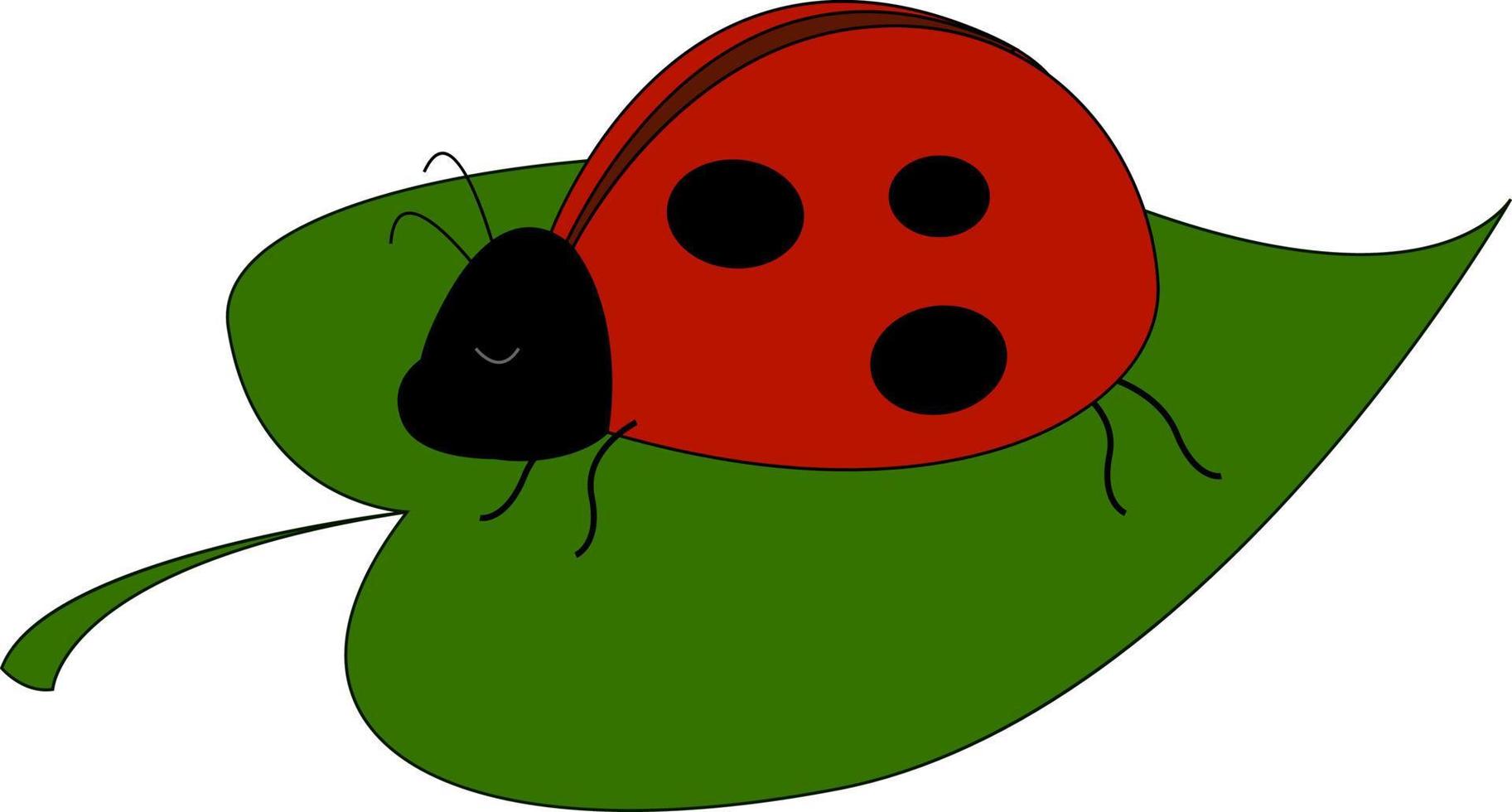 Ladybug on leaf, illustration, vector on white background