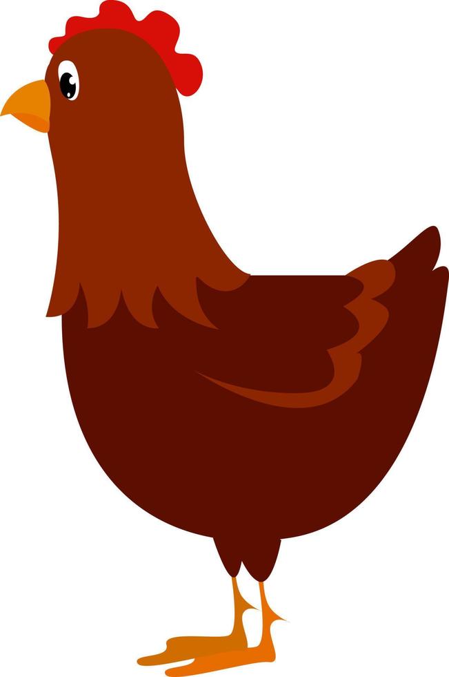 gallina roja, ilustración, vector sobre fondo blanco.