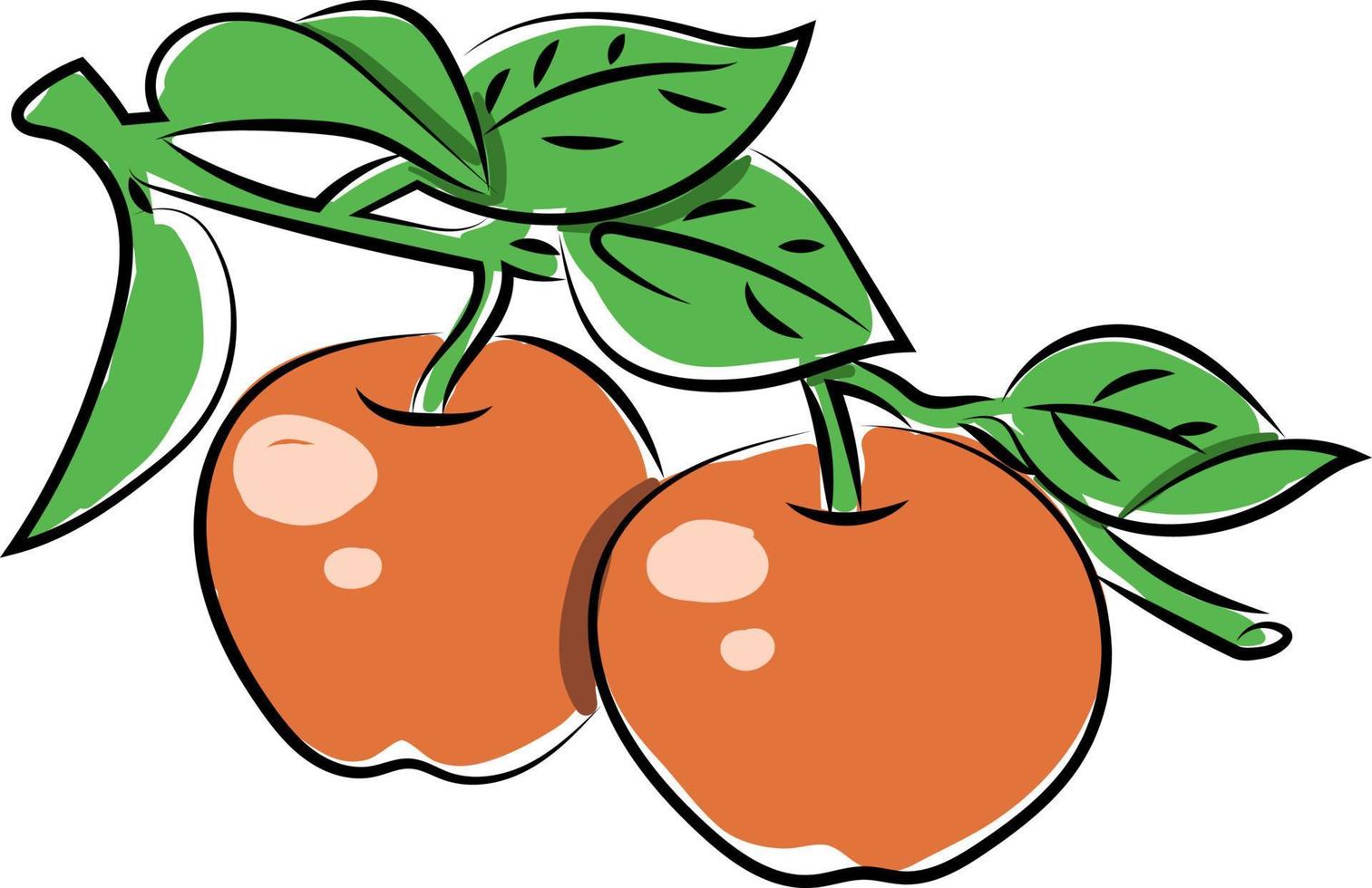 dos manzanas rojas, ilustración, vector sobre fondo blanco.