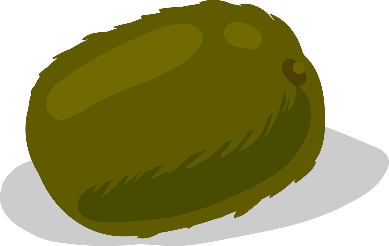 Fresh kiwi, illustration, vector on white background.