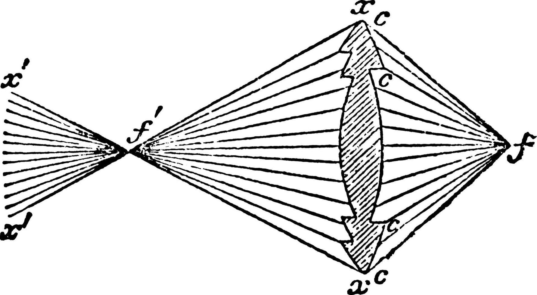 Differential Lens, vintage illustration. vector