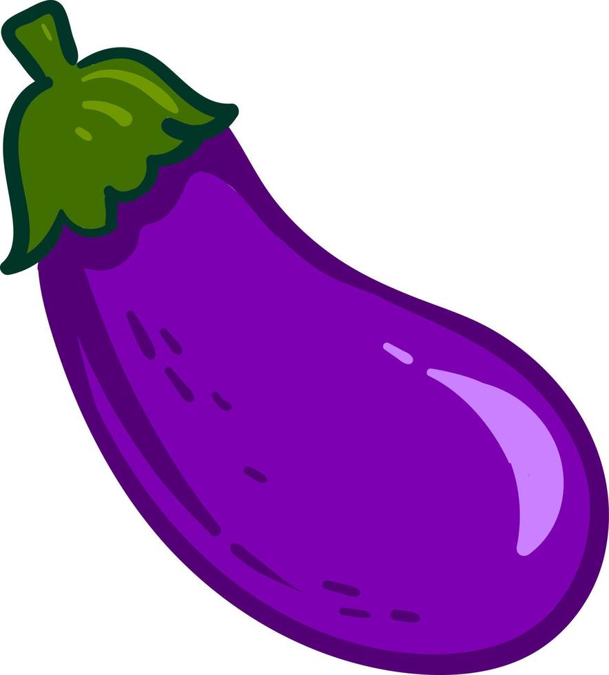 Purple eggplant ,illustration,vector on white background vector