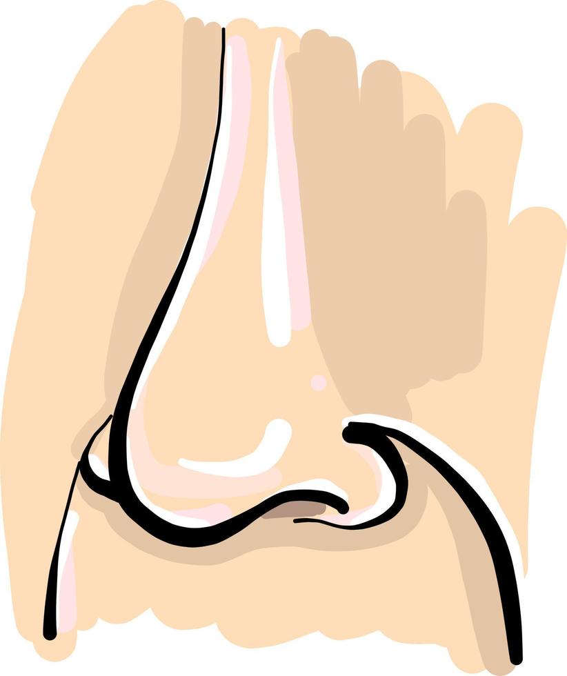 Front nose, illustration, vector on white background.