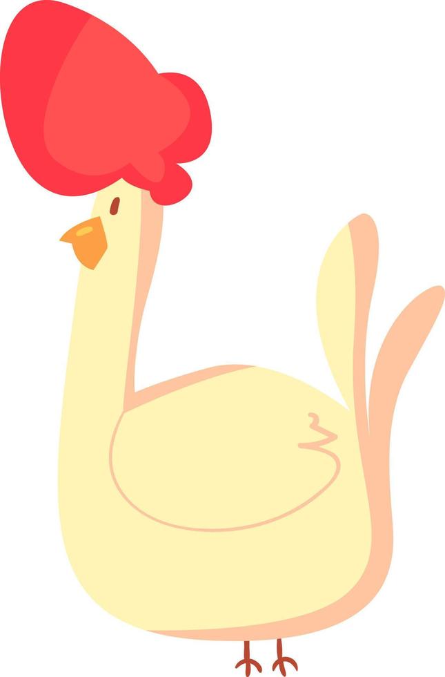 Chicken, illustration, vector on white background.