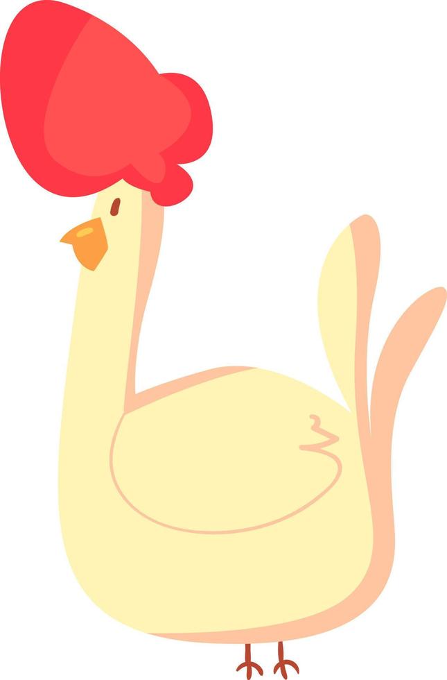 pollo, ilustración, vector sobre fondo blanco.