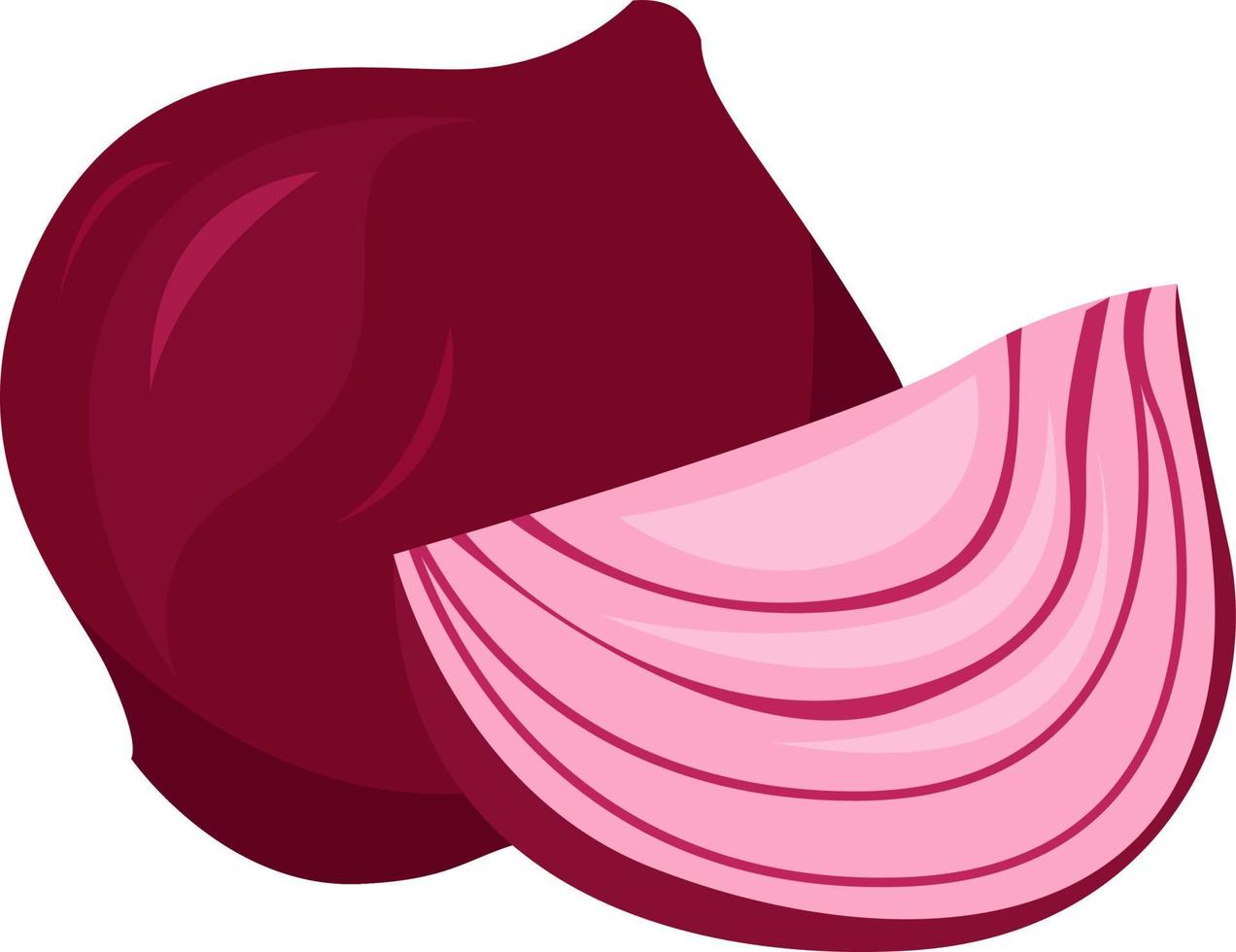 Red onion, illustration, vector on white background