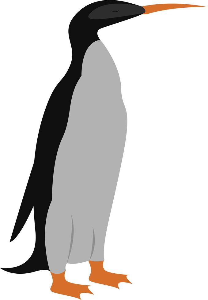 Pingüino de pie, ilustración, vector sobre fondo blanco.