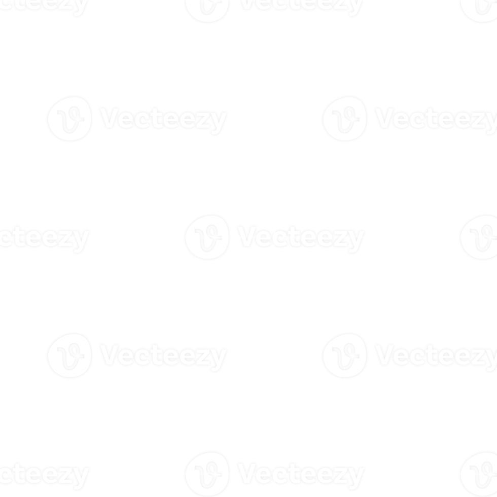 white snowflake icon png