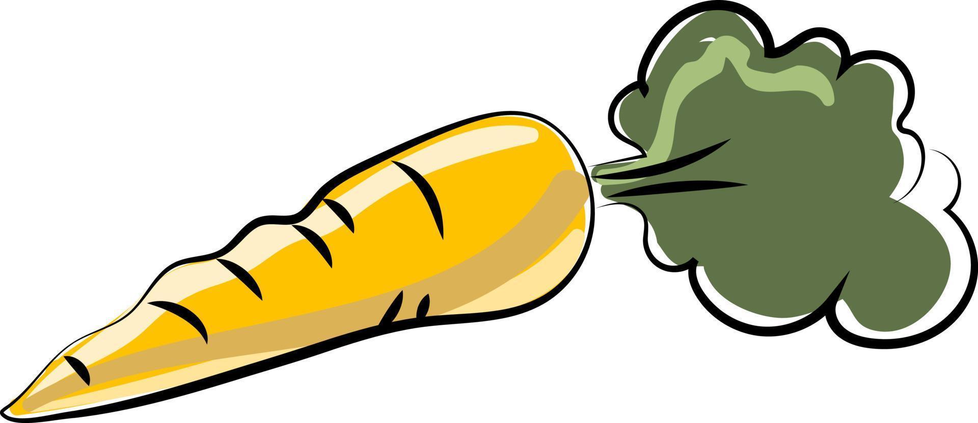 Fresh carrot drawing, illustration, vector on white background.