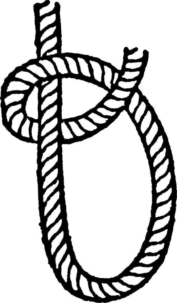 Half Hitch, vintage illustration. vector