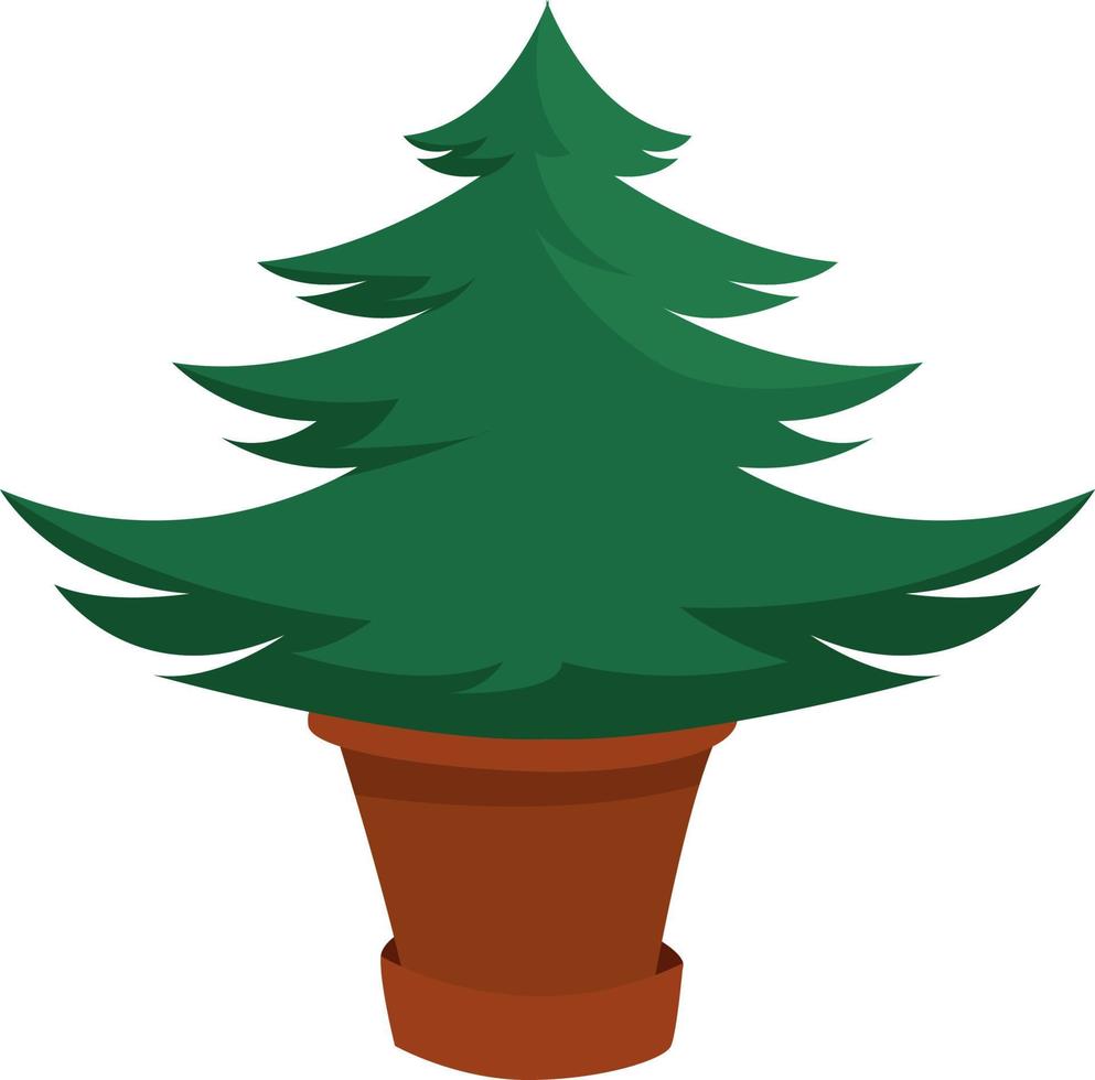 Green spruce, illustration, vector on white background.