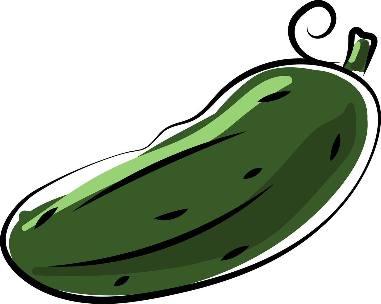 Cucumber, illustration, vector on white background.