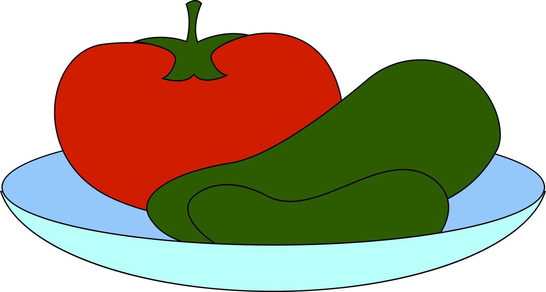 Tomato and cucumbers on plate, illustration, vector on white background