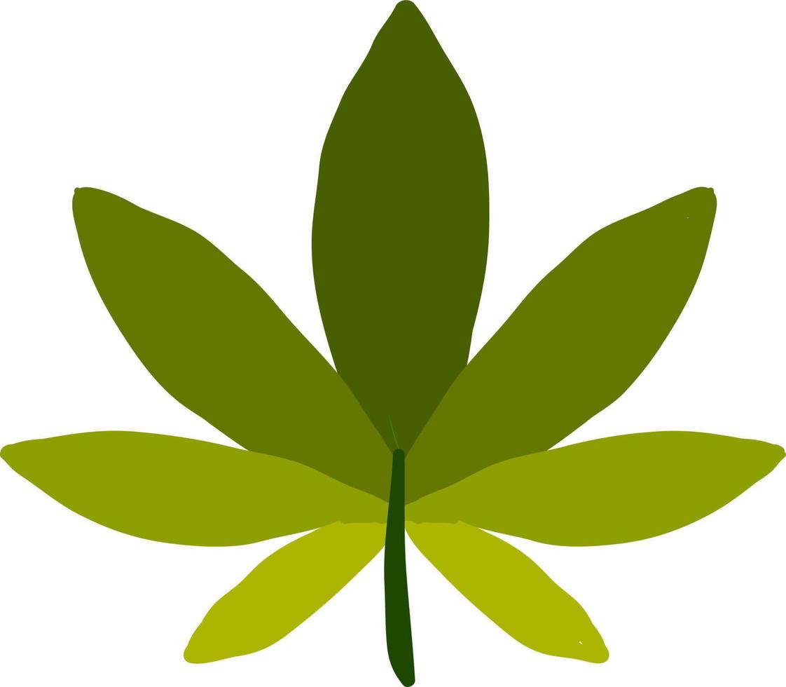 Green marijuana, illustration, vector on white background.