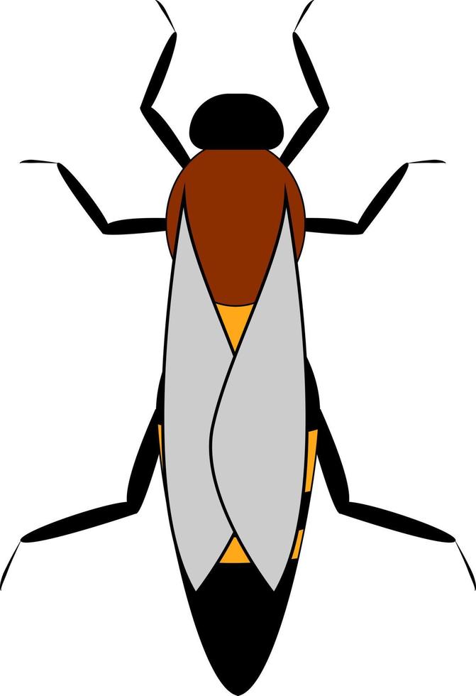 Apis mellifera, illustration, vector on white background.