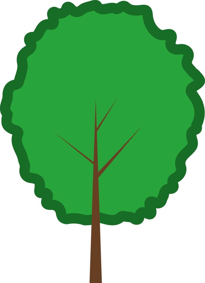 Curry tree, illustration, on a white background. vector