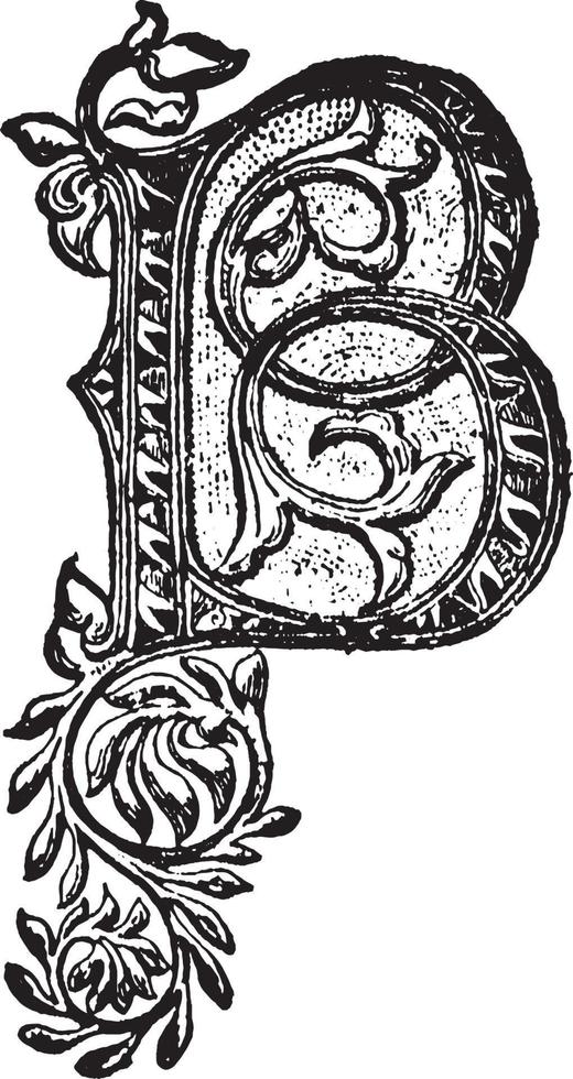 B, Ornate initial, vintage illustration vector