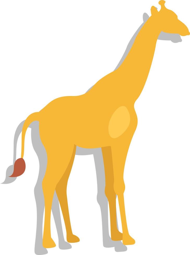 African giraffe, illustration, vector, on a white background. vector