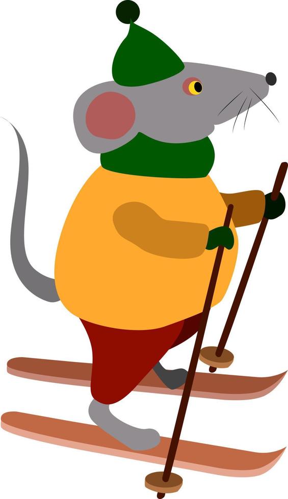 Mouse skier, illustration, vector on white background.