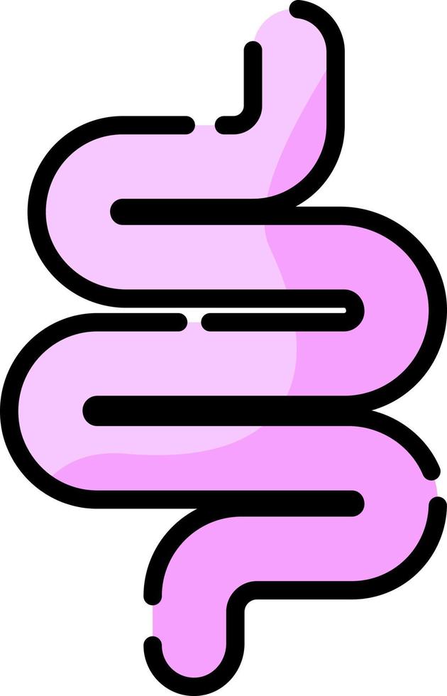 Human intestines, illustration, vector on a white background.