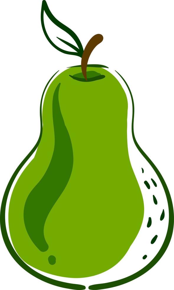 Pear drawing, illustration, vector on white background