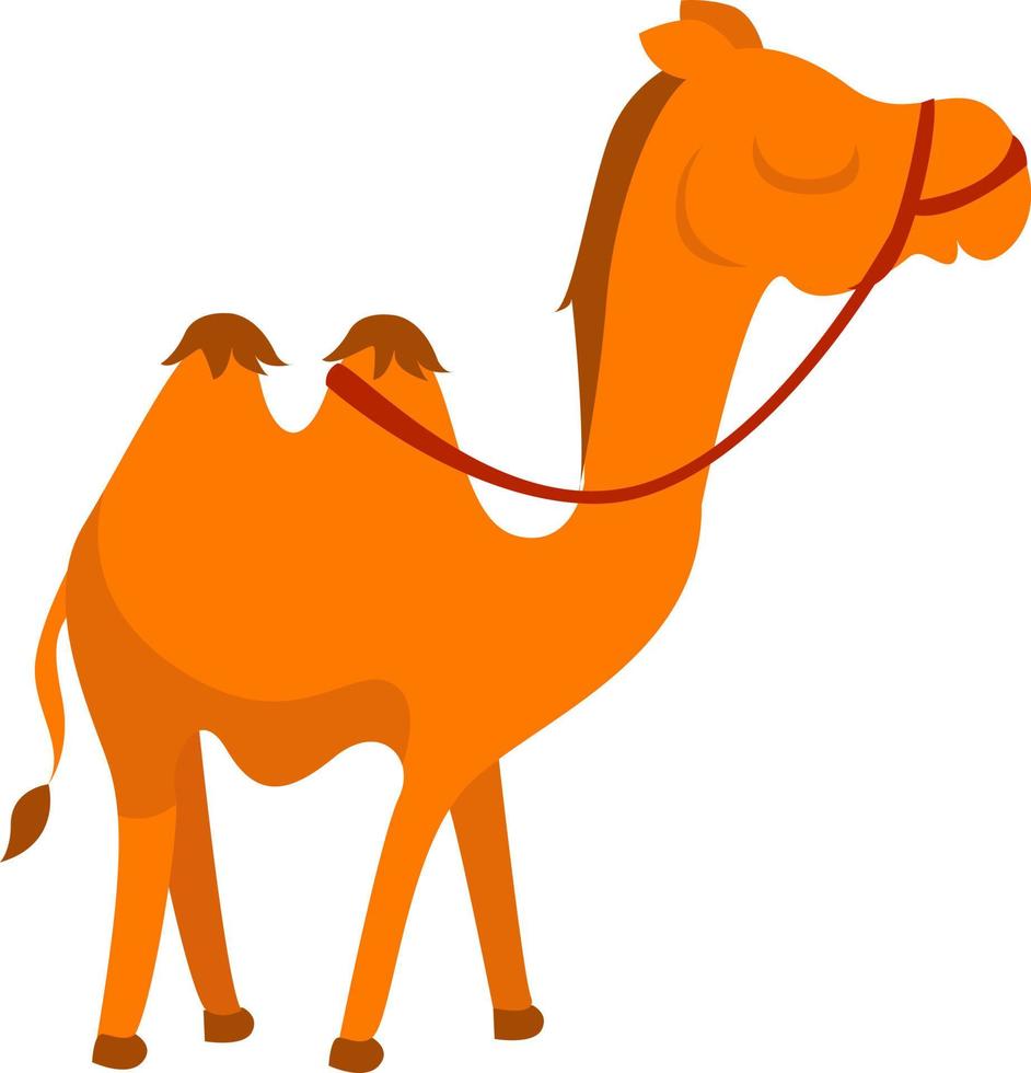 Two humped camel, illustration, vector on white background