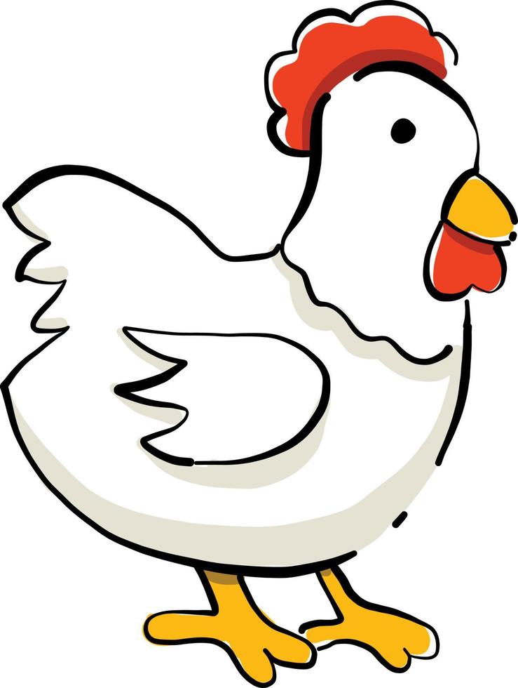 gallina blanca, ilustración, vector sobre fondo blanco.