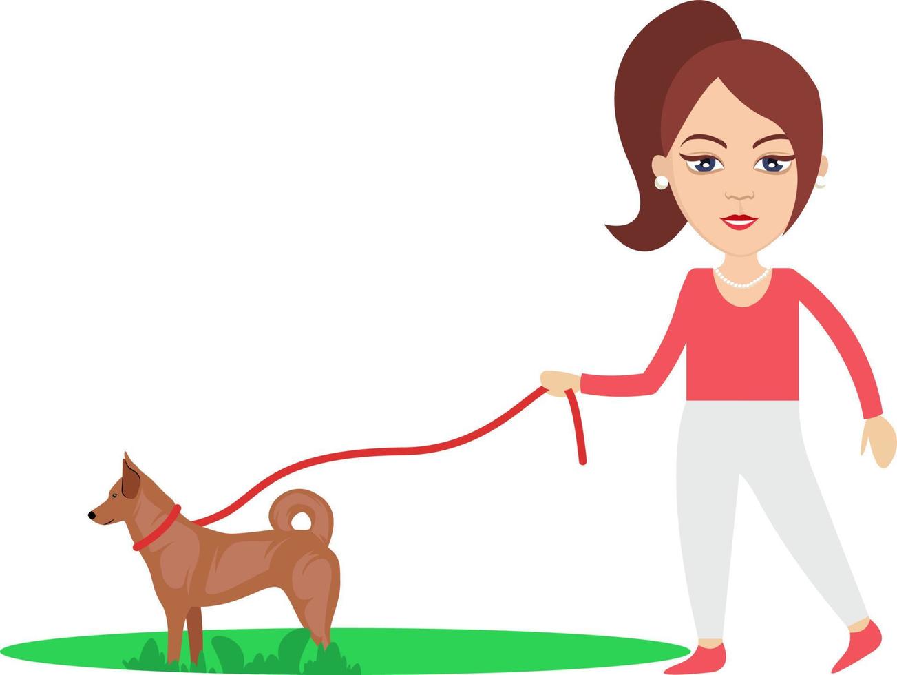 mujer paseando a un perro, ilustración, vector sobre fondo blanco.