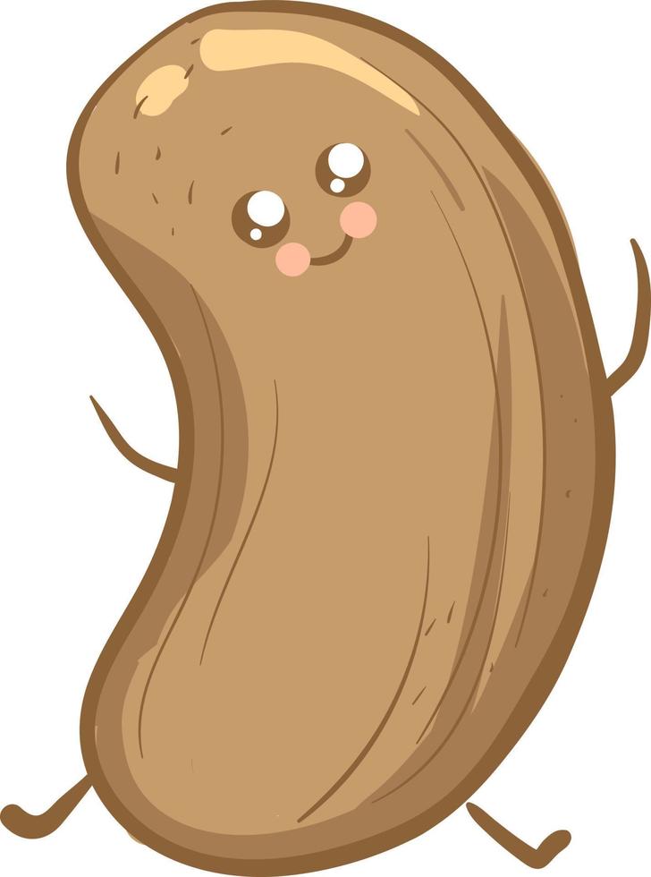 Cute little cashew nut, illustration, vector on white background.