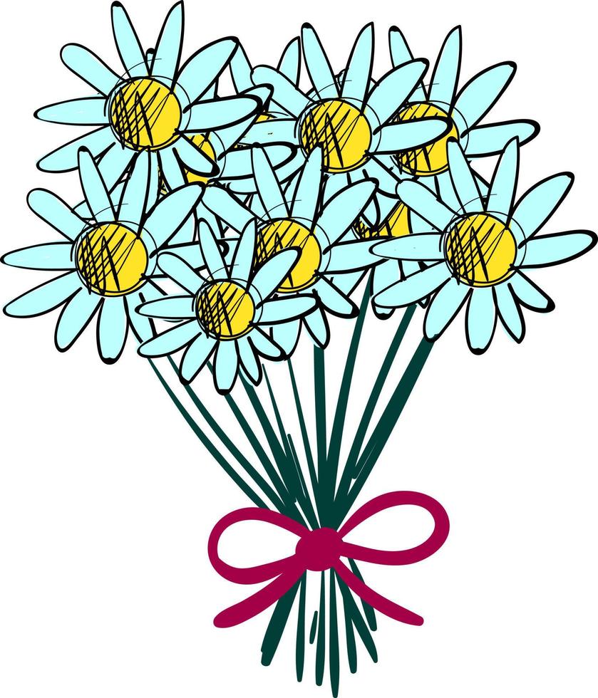 Bouquet of chamomile, illustration, vector on white background.